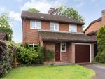 Thumbnail for sale in Morley Drive, Bishops Waltham