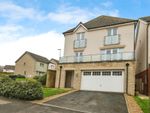 Thumbnail to rent in Cloakham Drive, Axminster