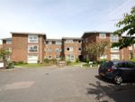 Thumbnail to rent in Sun Court, Rye Close, Worthing