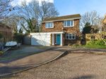 Thumbnail to rent in Beehive Way, Reigate