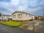 Thumbnail to rent in Lodgefield Park, Stafford, Staffordshire