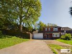 Thumbnail for sale in Andros Close, Ipswich