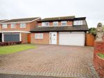 Thumbnail to rent in Elm Grove, Toddington, Dunstable