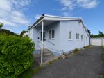 Thumbnail to rent in Upper Hill Park, Tenby