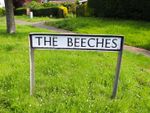 Thumbnail to rent in The Beeches, Uppingham, Rutland