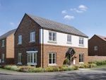 Thumbnail for sale in "The Trusdale - Plot 69" at Glentress Drive, Sinfin, Derby