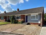 Thumbnail to rent in The Broads, Wimborne, Dorset