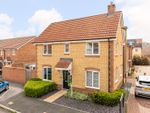 Thumbnail to rent in Marjoram Way, Didcot