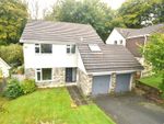 Thumbnail for sale in Newtake Road, Whitchurch, Tavistock