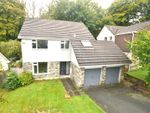 Thumbnail to rent in Newtake Road, Whitchurch, Tavistock