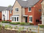 Thumbnail to rent in Dustmoor Drive, Quorn, Loughbrough