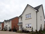 Thumbnail to rent in "The Seaton" at Abbotsbury Drive, Daventry