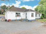 Thumbnail for sale in Tullymally Road, Portaferry, Newtownards