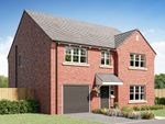 Thumbnail to rent in "The Hollicombe" at Faldo Drive, Ashington