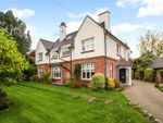 Thumbnail to rent in Courtenay Road, Winchester, Hampshire