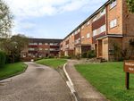 Thumbnail to rent in Levylsdene, Guildford, Surrey