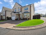 Thumbnail to rent in Redwood Close, Hamilton, South Lanarkshire