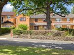 Thumbnail to rent in Wellfields, Loughton, Essex