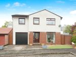Thumbnail to rent in Hillpark Avenue, Paisley