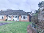Thumbnail to rent in Hollybank, Witham