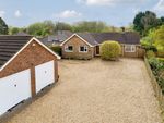 Thumbnail for sale in Abbey Road, Medstead, Alton, Hampshire
