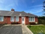 Thumbnail to rent in Elm Grove, South Shields