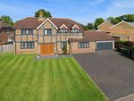 Thumbnail to rent in Beechfield, Banstead