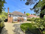 Thumbnail for sale in Elgin Road, Talbot Woods, Bournemouth