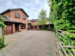 Thumbnail for sale in Seward Rise, Romsey, Hampshire