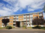 Thumbnail to rent in Radstone Court, Woking