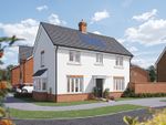 Thumbnail to rent in "The Spruce" at Hook Lane, Rose Green, Bognor Regis