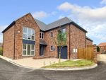 Thumbnail to rent in Plot 11, The Langtons, Redmarshall