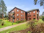 Thumbnail to rent in Merrow, Guildford, Surrey