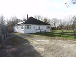 Thumbnail to rent in Llechryd, Cardigan