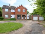Thumbnail to rent in Edgeley, Little Bookham, Leatherhead, Surrey