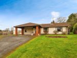 Thumbnail to rent in Long Acre, Llanwarne, Hereford