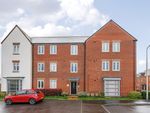 Thumbnail to rent in Ifould Crescent, Wokingham, Berkshire