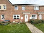 Thumbnail to rent in Edison Drive, Spennymoor, Durham