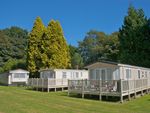 Thumbnail for sale in Sun Valley Holiday Park, Pentewan, St Austell, Cornwall