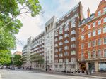 Thumbnail to rent in Woburn Place, London