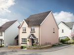 Thumbnail to rent in "The Mylne" at Pipistrelle Close, Chudleigh, Newton Abbot