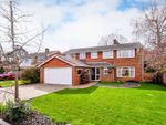 Thumbnail for sale in Thames Crescent, Maidenhead