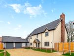 Thumbnail to rent in Plot 6, Flower Meadow, Little Fransham, Norfolk