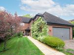 Thumbnail for sale in Steeres Hill, Horsham, West Sussex