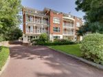 Thumbnail to rent in Mill Field Lodge, 20 Downview Road, West Worthing