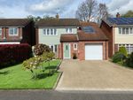 Thumbnail for sale in Long Meadows, Everton, Doncaster