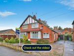 Thumbnail to rent in Kingtree Avenue, Cottingham