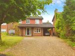 Thumbnail for sale in Horseshoe Drive, Romsey, Hampshire