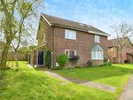 Thumbnail for sale in Launcelyn Close, North Baddesley, Southampton, Hampshire