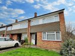 Thumbnail to rent in Conifer Close, Colchester